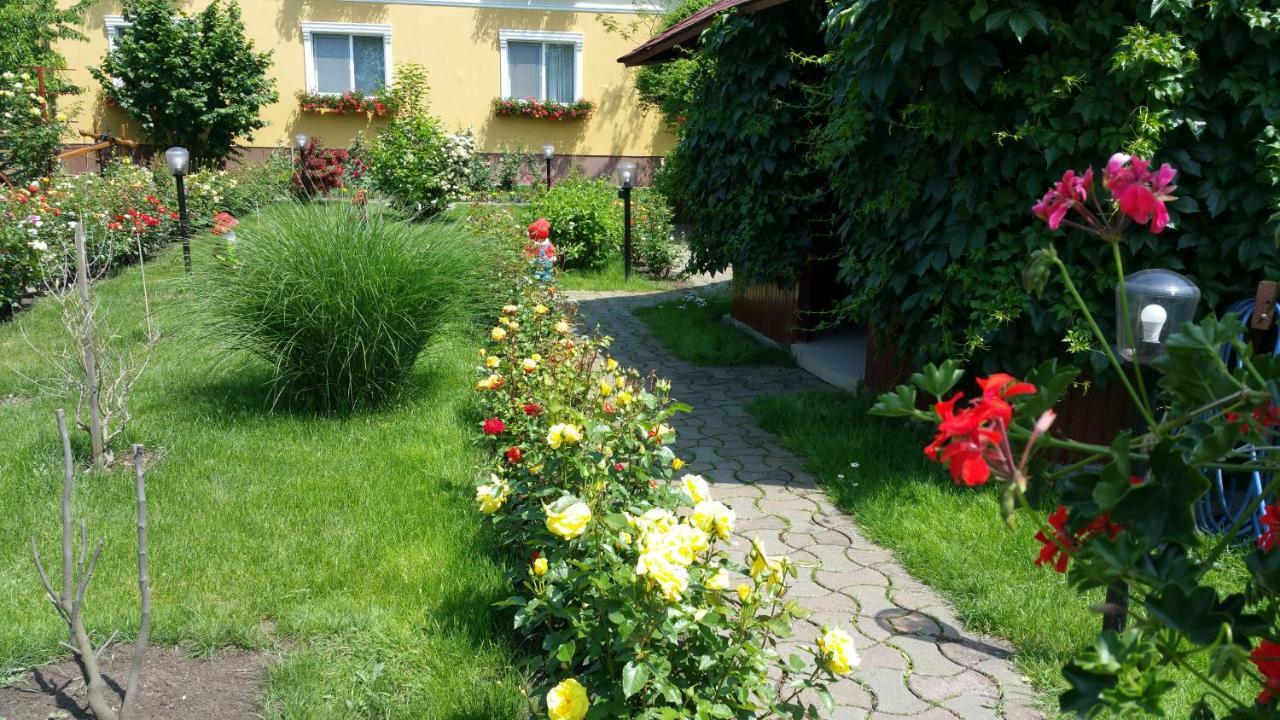 Pension Delia Gardens Тимишоара Экстерьер фото