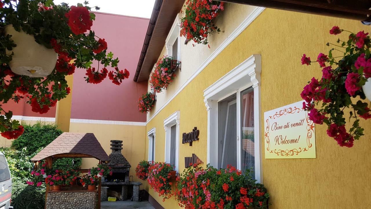 Pension Delia Gardens Тимишоара Экстерьер фото