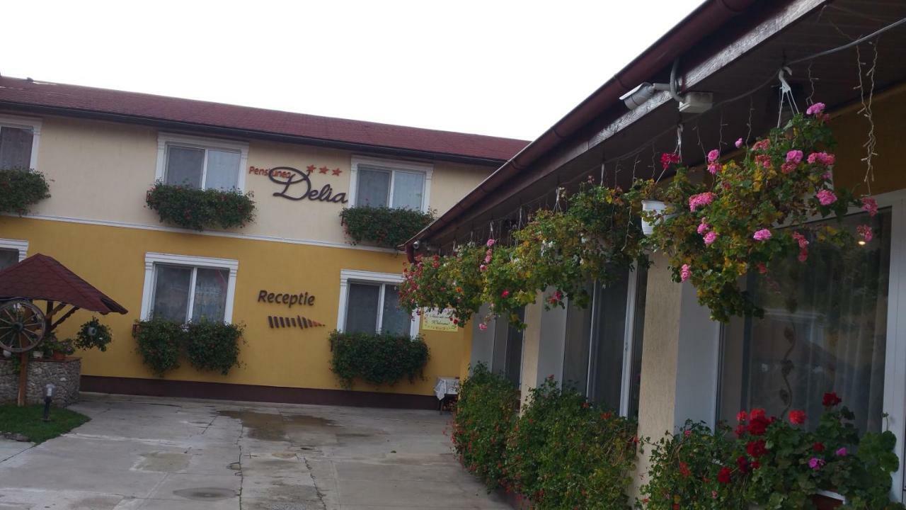 Pension Delia Gardens Тимишоара Экстерьер фото