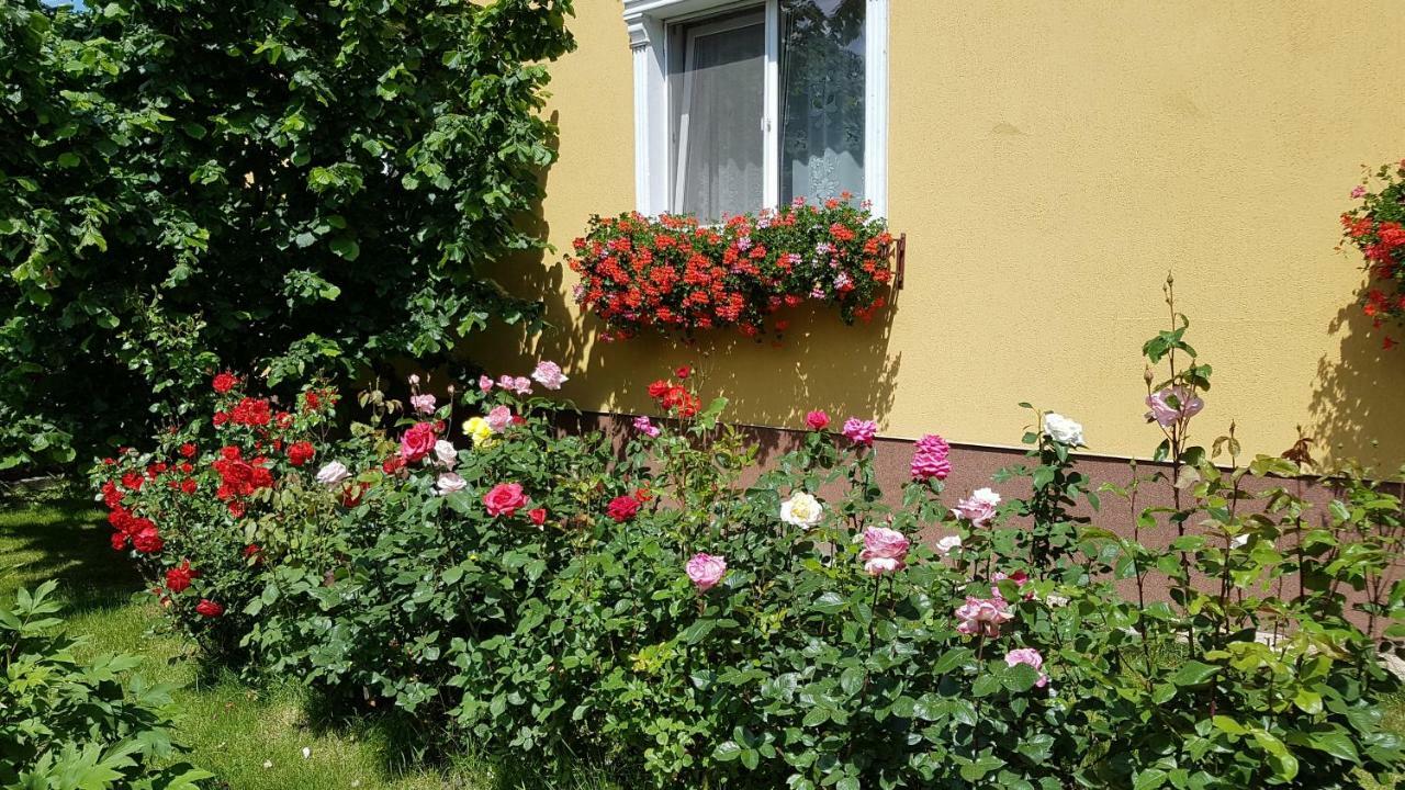 Pension Delia Gardens Тимишоара Экстерьер фото