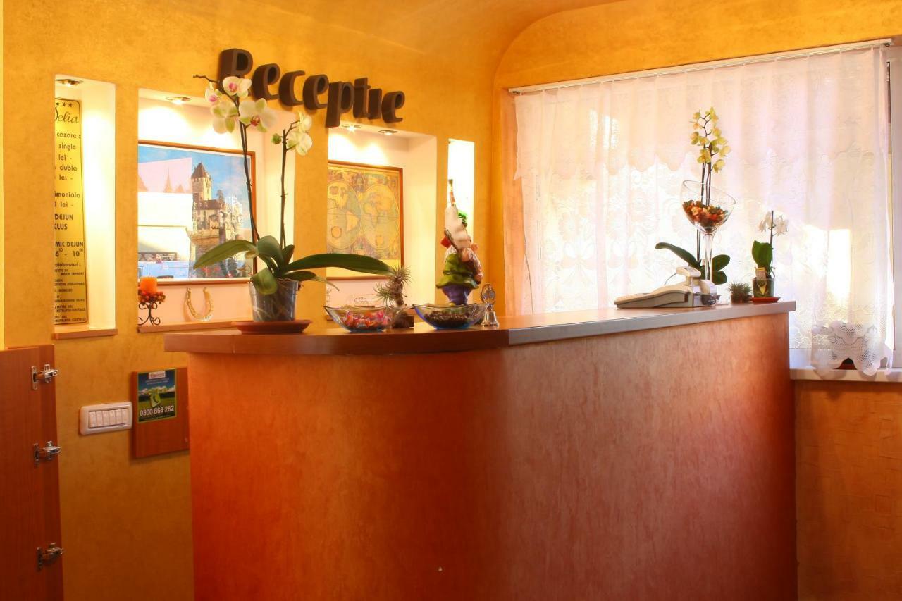 Pension Delia Gardens Тимишоара Экстерьер фото