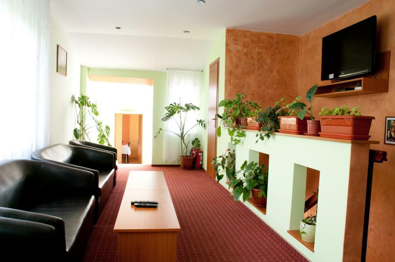 Pension Delia Gardens Тимишоара Экстерьер фото