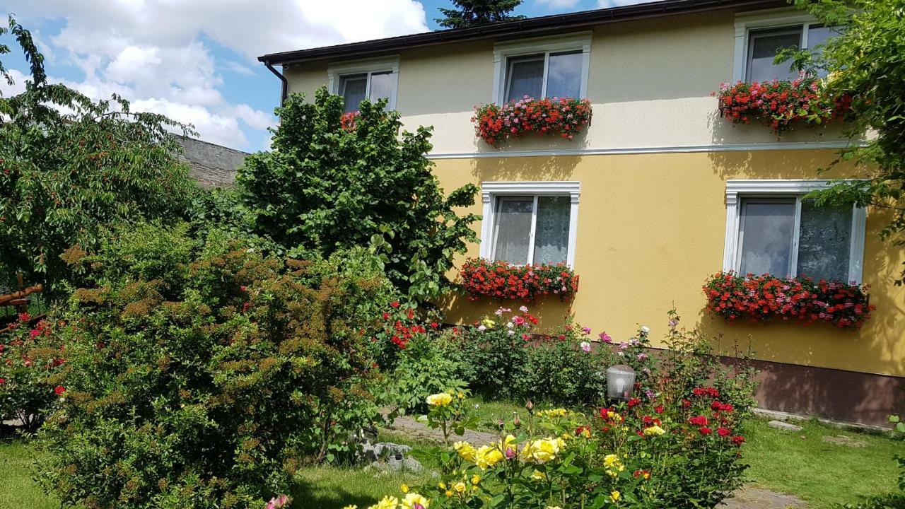 Pension Delia Gardens Тимишоара Экстерьер фото